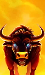 Big Wild Buffalo 2
